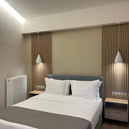 11 Luxury Apartments.. Metsovo Exterior photo