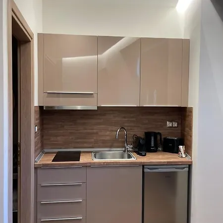 11 Luxury Apartments.. Metsovo Exterior photo