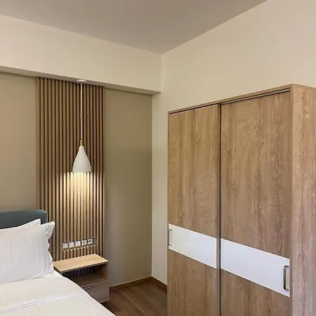 11 Luxury Apartments.. Metsovo Exterior photo