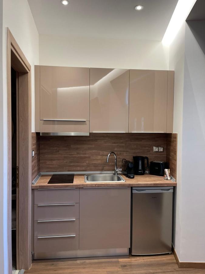 Apartment 11 Luxury Apartments.. Metsovo