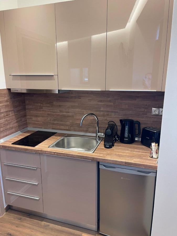 11 Luxury Apartments.. Apartment Metsovo